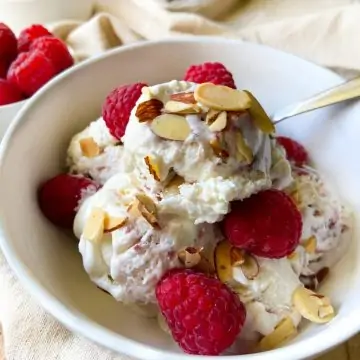 Finished No-Churn Vanilla Ice Cream with Raspberry in a white bowl.