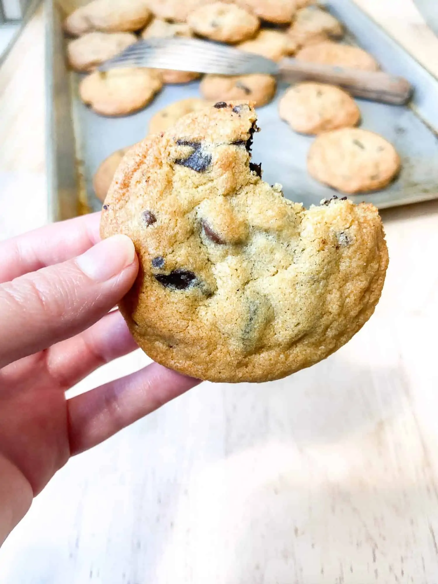 a chewy chocolate chip cookie 