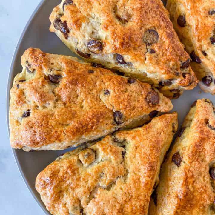 Chocolate chip scones on a plate.