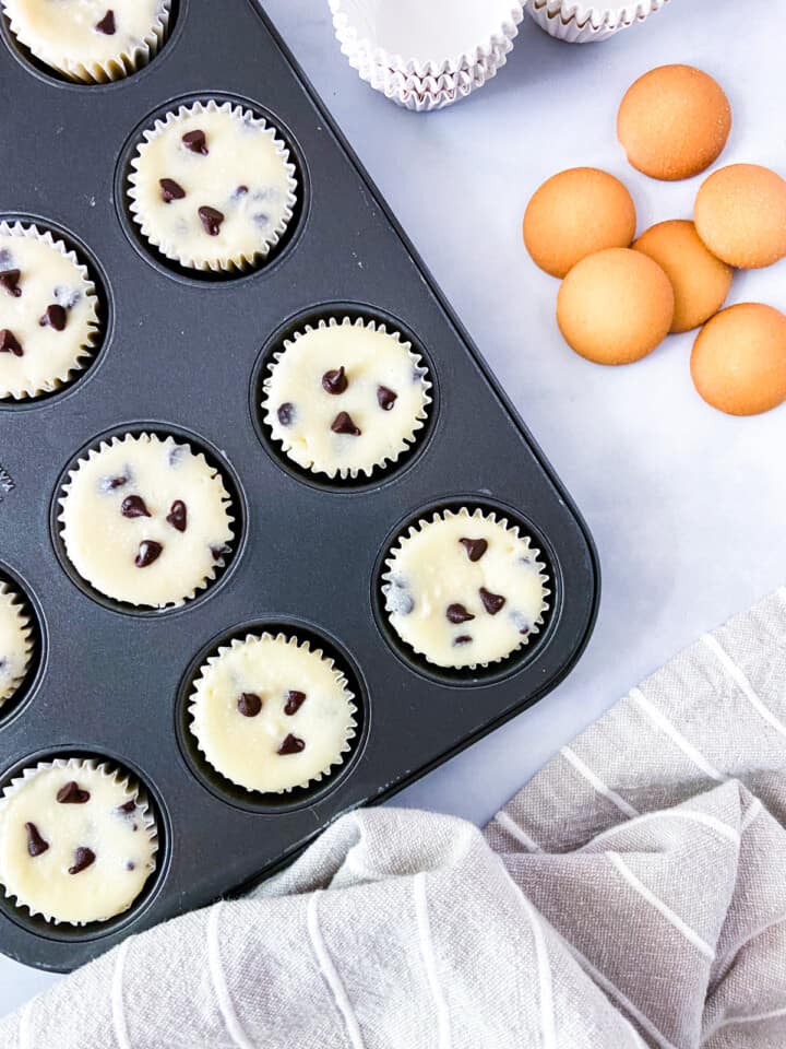 Baked mini cheesecakes in a muffin tin.