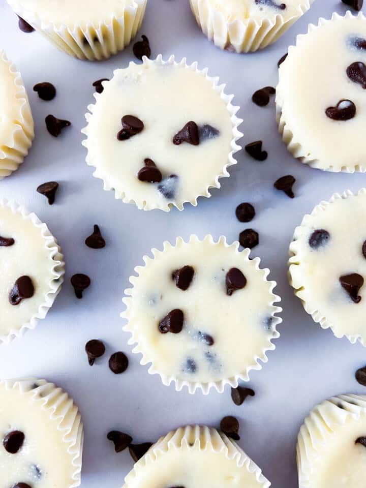 An array of mini chocolate chip cheesecakes.
