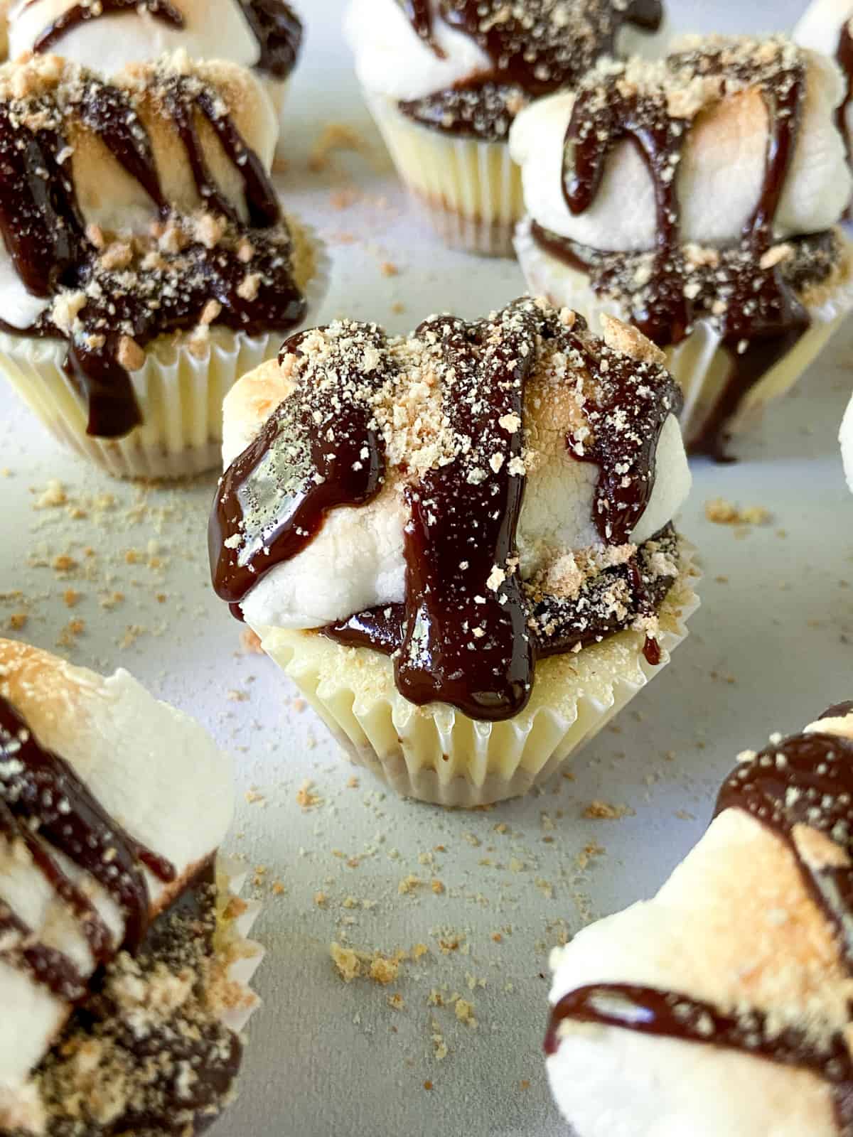 Mini Cheesecakes with toasted marshmallow and ganache.