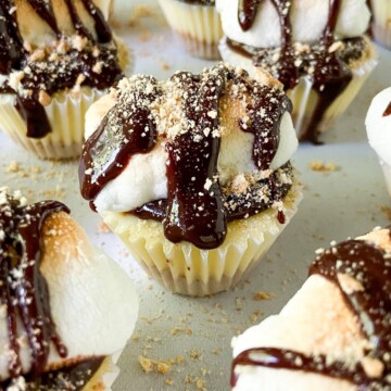 Garnished mini s'mores cheesecakes.