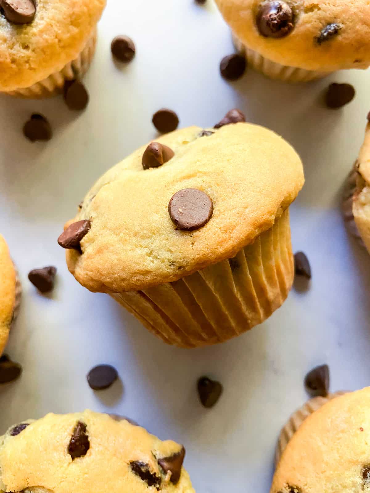 A close-up of chocolate chip muffins.