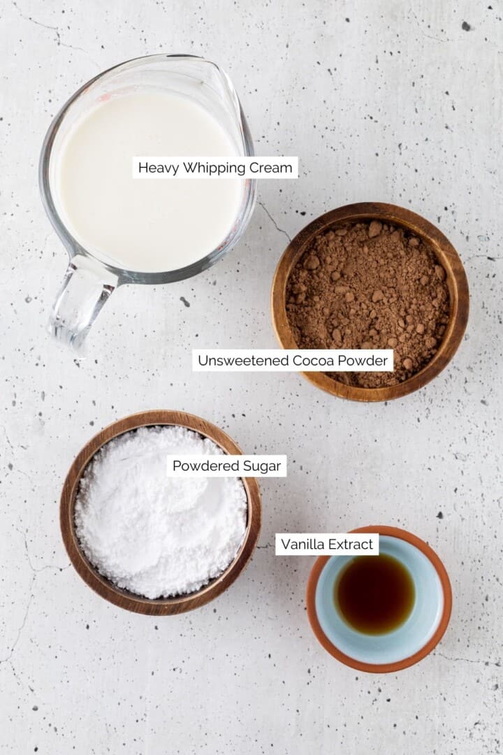 Easy Chocolate Mousse with Cocoa Powder – Sugary Logic