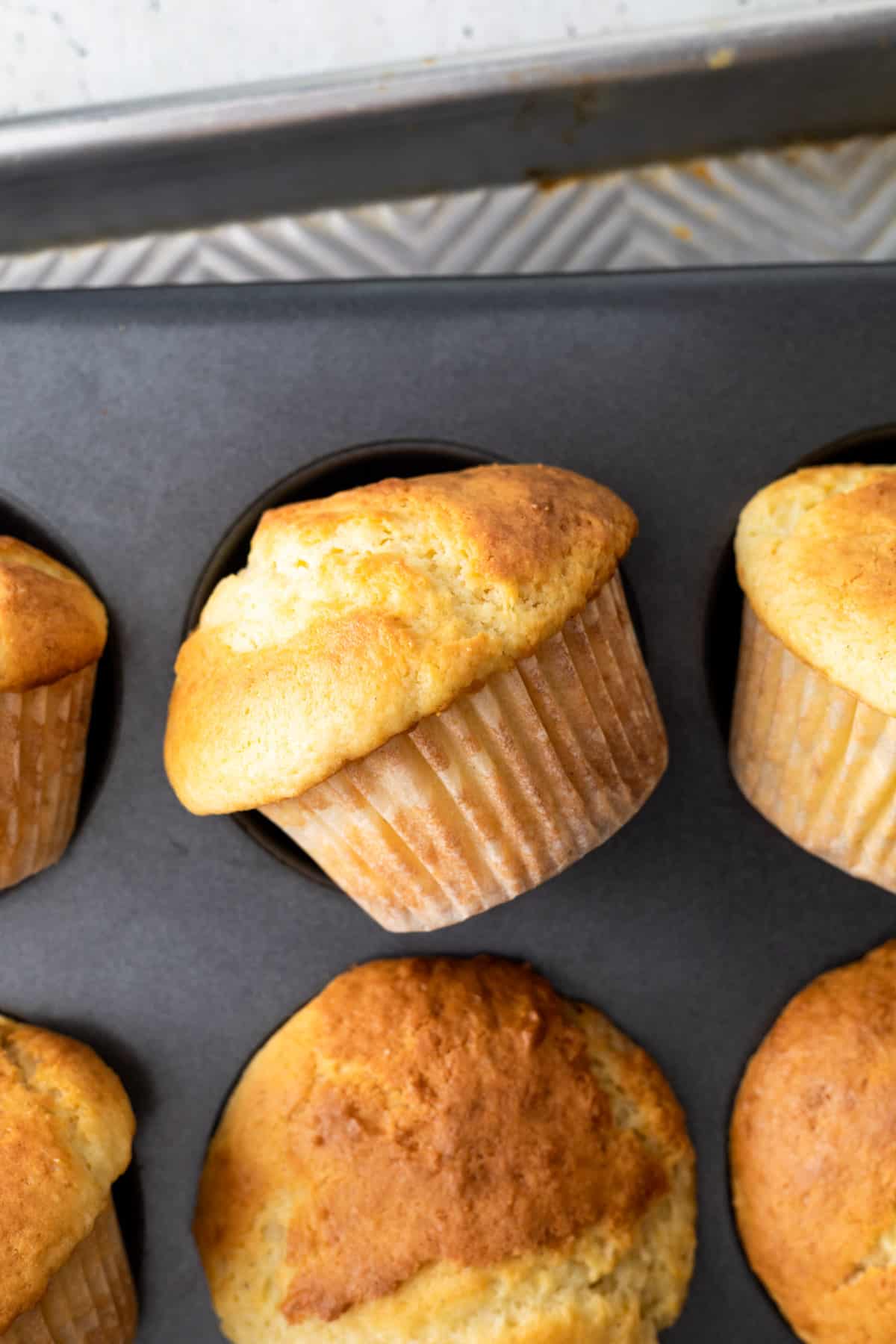 Muffins in a muffin tin.
